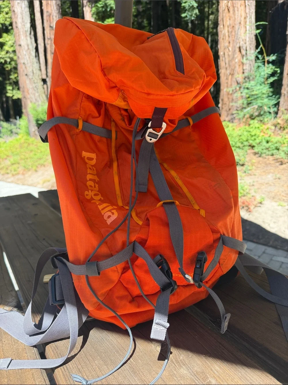 Patagonia Ascensionist 35L backpack